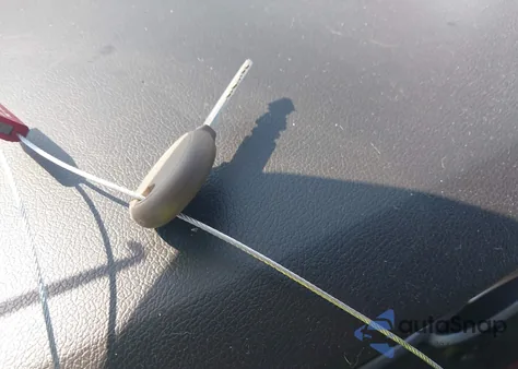 2007 Dodge Charger z USA, uszkodzony, nr VIN 2B3KA43G57H836478